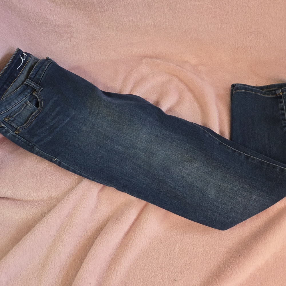 Dark Blue Denim Skinny Jeans INC Curvy